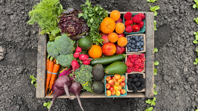 The Fruitful Farms Box (Bi-Weekly)